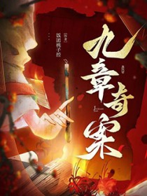 奇案集数